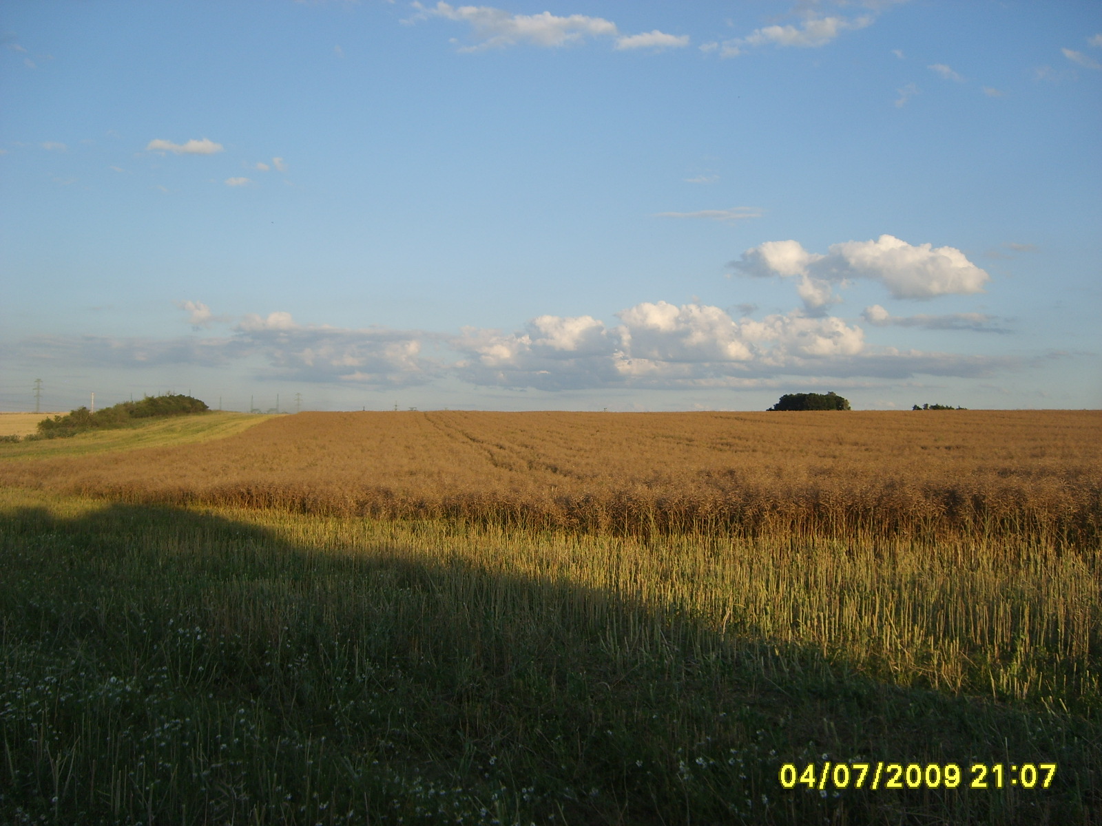 S6002869.JPG